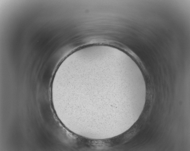 X0000081450807200701191712