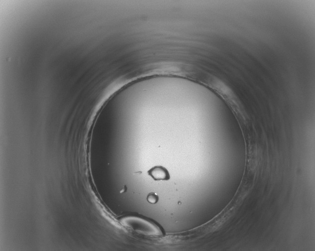 X0000081450808200701191712