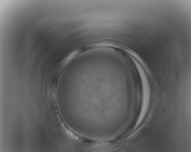 X0000081450809200701191712