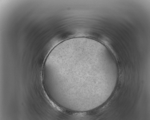 X0000081450810200701191712