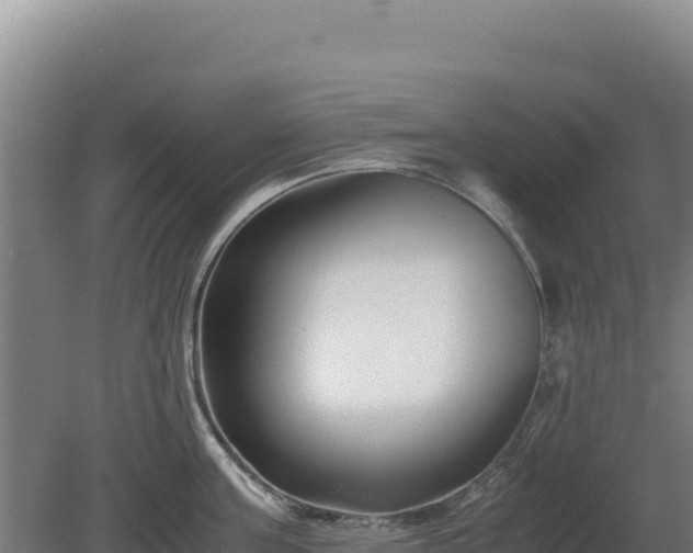 X0000081450811200701191712