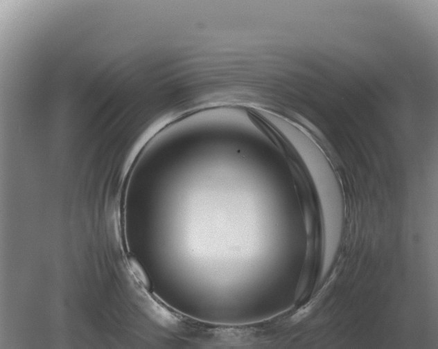 X0000081450812200701191712