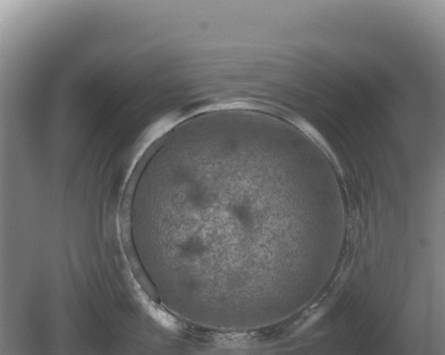 X0000081450813200701191712