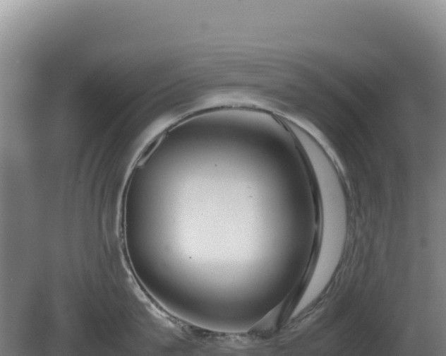 X0000081450815200701191712