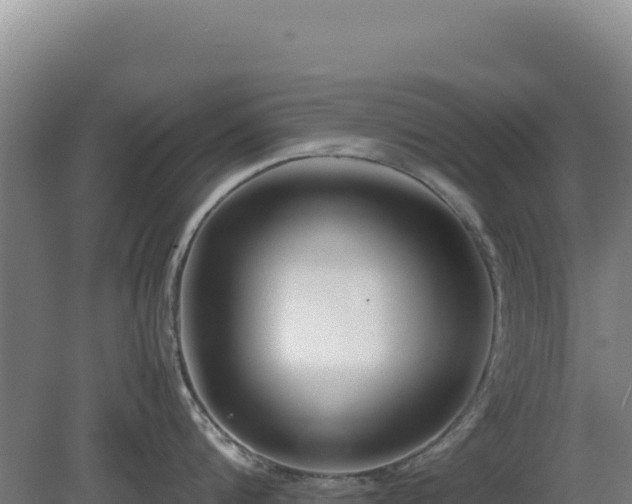 X0000081450816200701191712