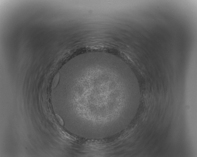 X0000081450817200701191711