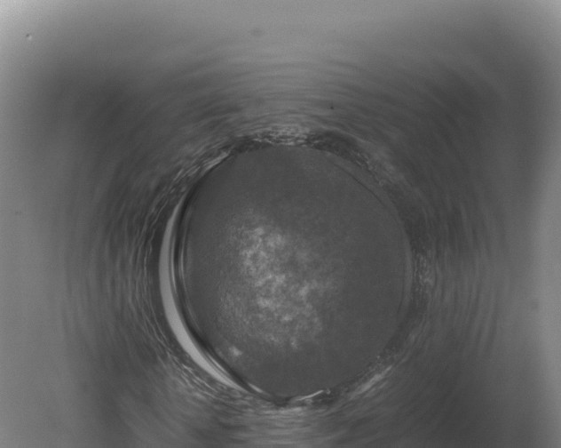 X0000081450818200701191711