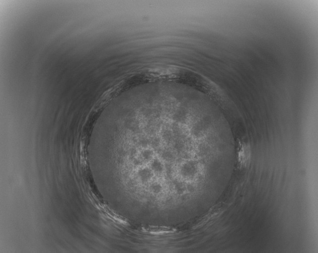 X0000081450819200701191711