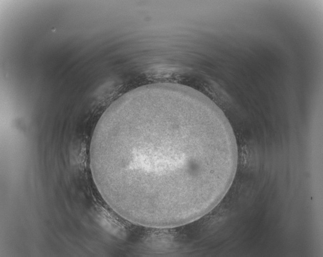 X0000081450820200701191711