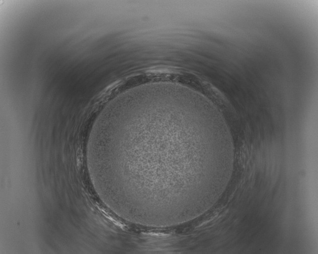 X0000081450821200701191711