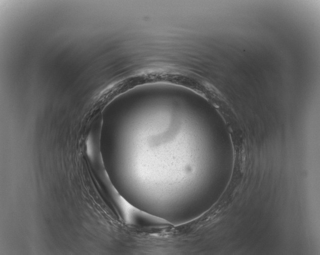 X0000081450822200701191711