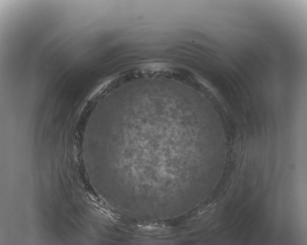 X0000081450823200701191711