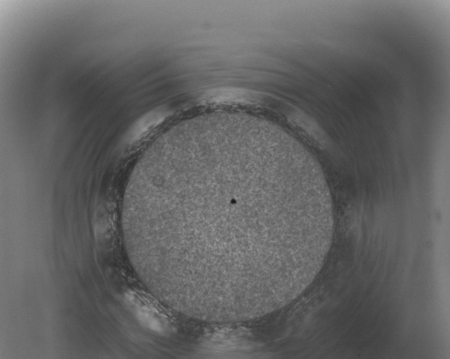 X0000081450824200701191711