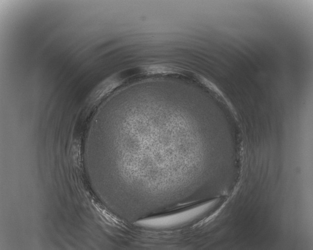 X0000081450825200701191711