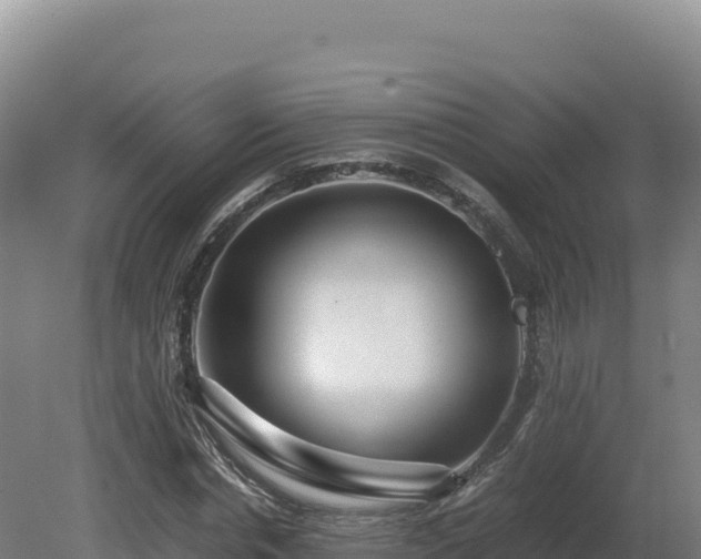 X0000081450826200701191711