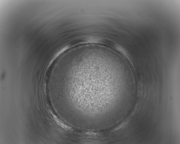 X0000081450827200701191711