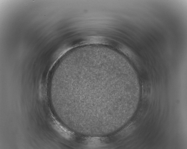 X0000081450828200701191711