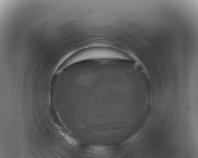 X0000081450829200701191711