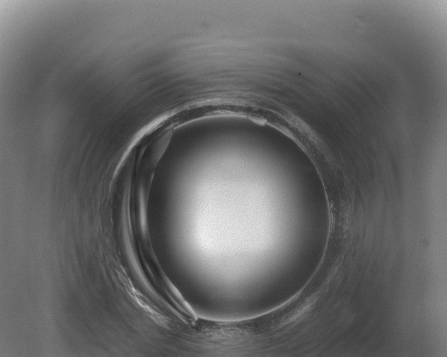 X0000081450830200701191711