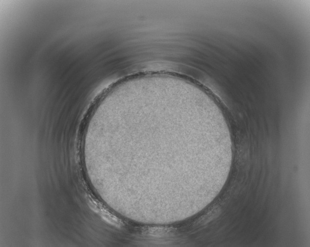 X0000081450832200701191711