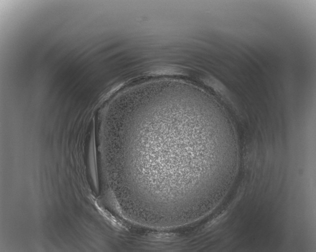 X0000081450833200701191711