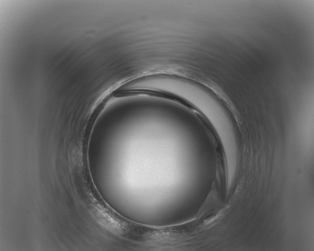 X0000081450834200701191711