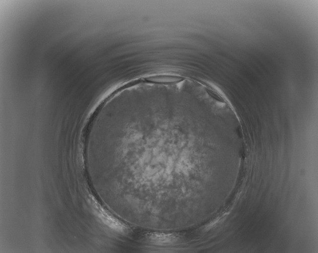 X0000081450835200701191711