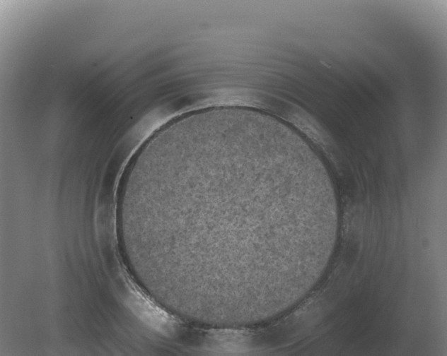 X0000081450836200701191712