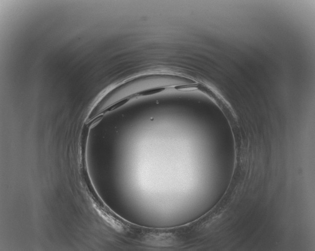 X0000081450837200701191712