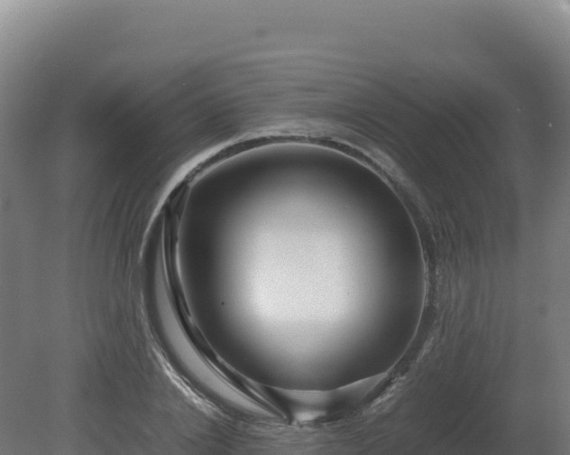 X0000081450838200701191712