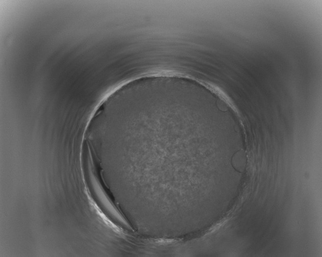 X0000081450839200701191712