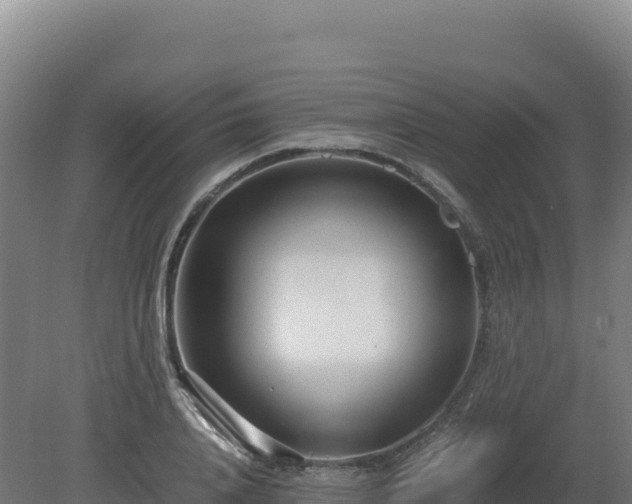 X0000081450840200701191712