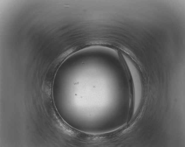 X0000081450841200701191712