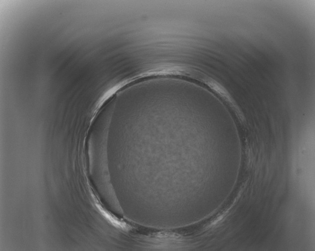 X0000081450842200701191712