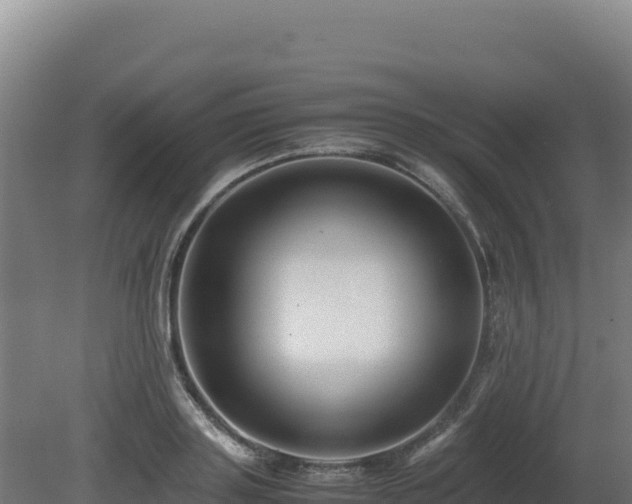 X0000081450843200701191712