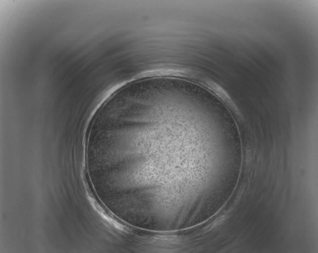 X0000081450844200701191712