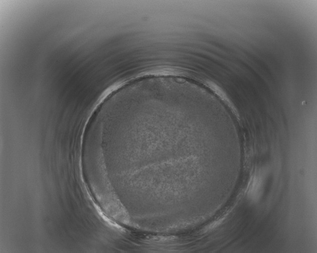 X0000081450845200701191712