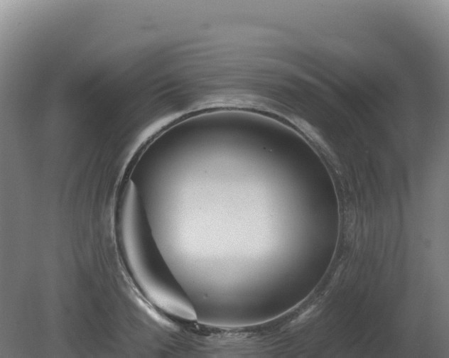 X0000081450846200701191712