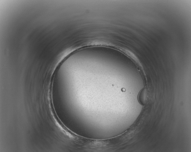 X0000081450847200701191712