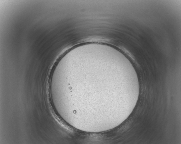 X0000081450848200701191712