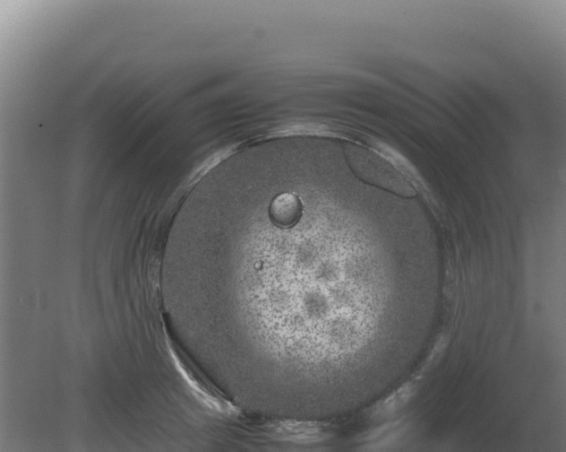 X0000081450849200701191712