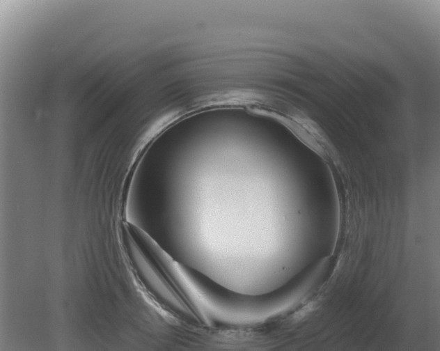 X0000081450850200701191712