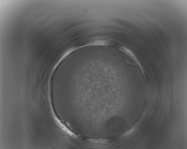 X0000081450851200701191712