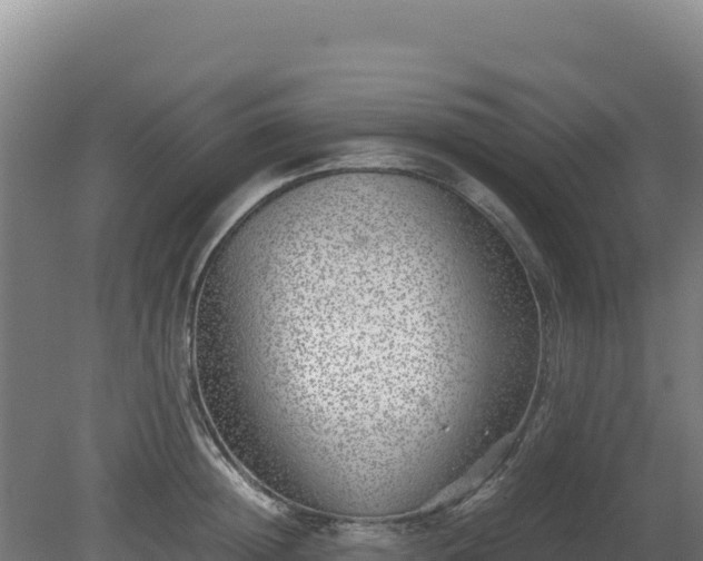 X0000081450852200701191712