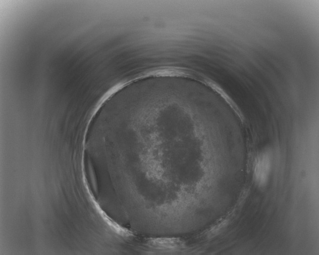 X0000081450853200701191712