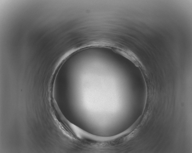 X0000081450854200701191712