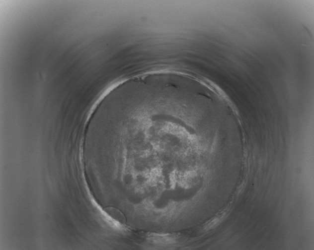 X0000081450855200701191712