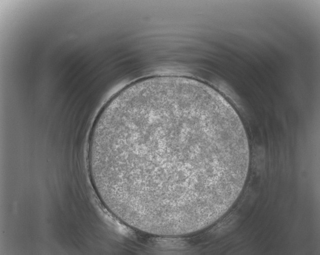 X0000081450856200701191712