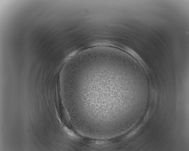 X0000081450857200701191712