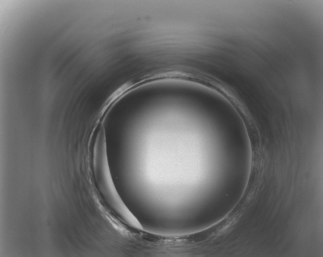 X0000081450858200701191712